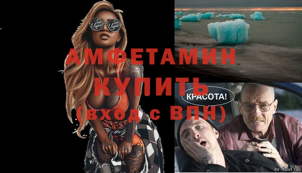 мяу мяу мука Магадан
