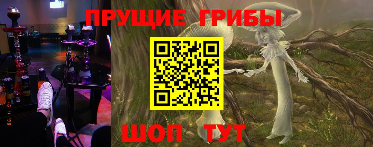 Псилоцибиновые грибы мицелий Абакан